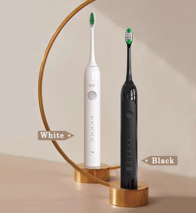Sonic Electric Toothbrush with 2PCS Toothbrush Head Electric Toothbrush Motor Electric